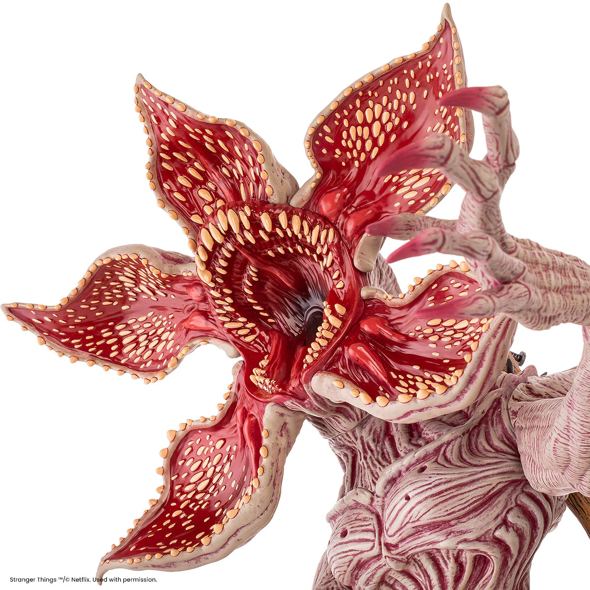 Product image 67